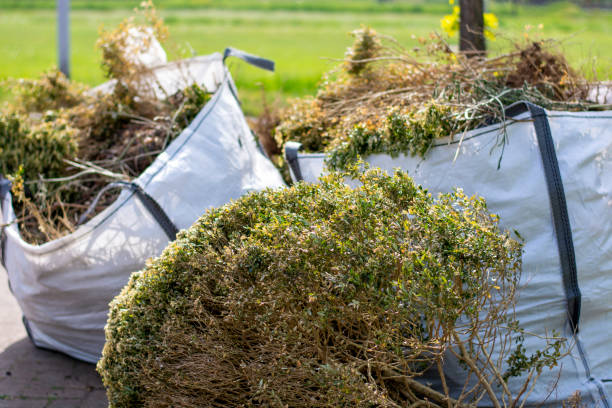 Best Yard Waste Removal  in Edburgh, IN